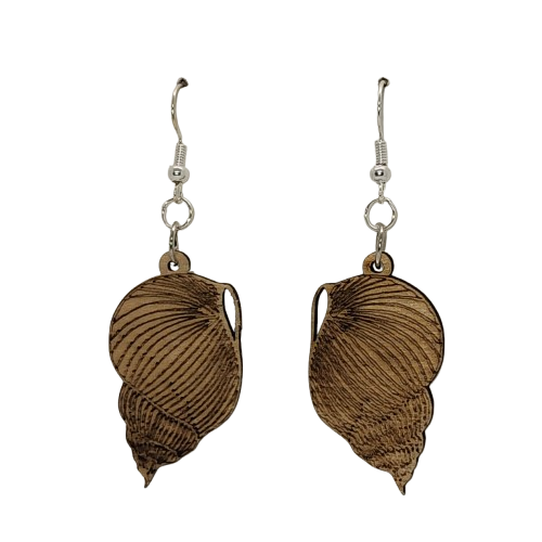 Sea Shell